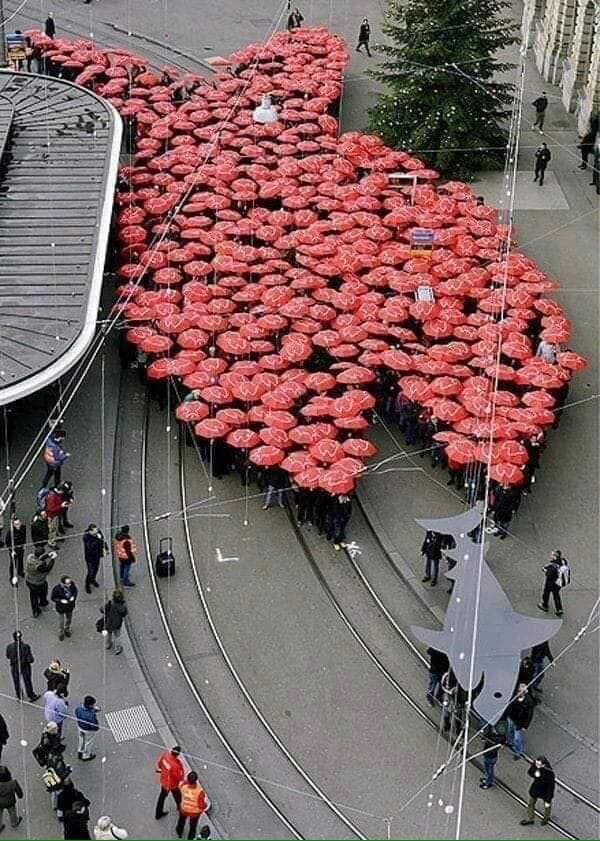 Sardine o bandiera rossa?