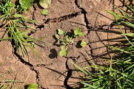 Crisi climatica, ci sarà ancora un domani?